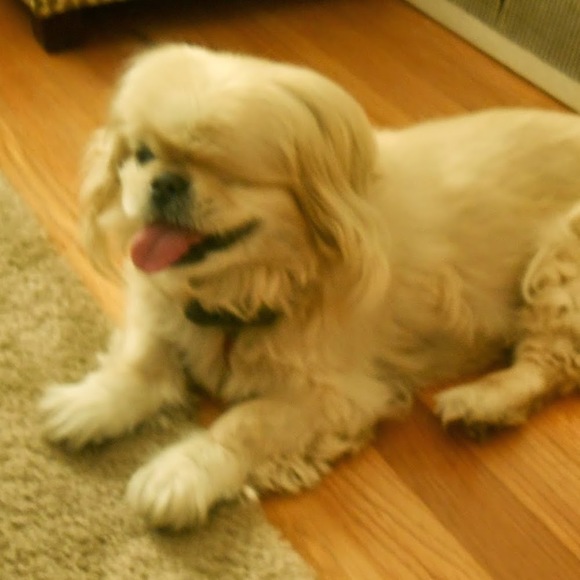 Meet your Posher, Emily - Picture 1 of 1